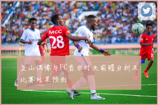 釜山偶像与FC首尔对决前瞻分析及比赛结果预测
