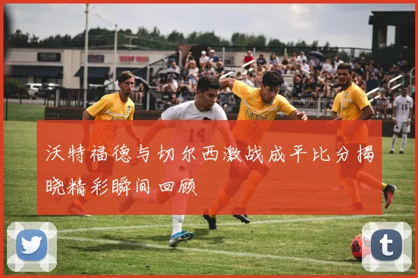 沃特福德与切尔西激战成平比分揭晓精彩瞬间回顾