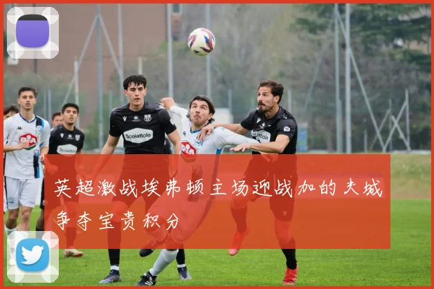 英超激战埃弗顿主场迎战加的夫城争夺宝贵积分