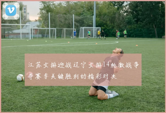 江苏女排迎战辽宁女排14轮激战争夺赛季关键胜利的精彩对决