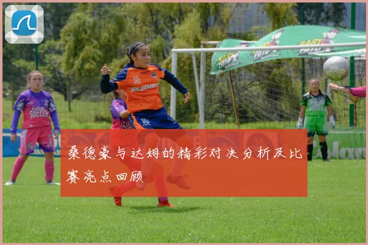 桑德豪与达姆的精彩对决分析及比赛亮点回顾