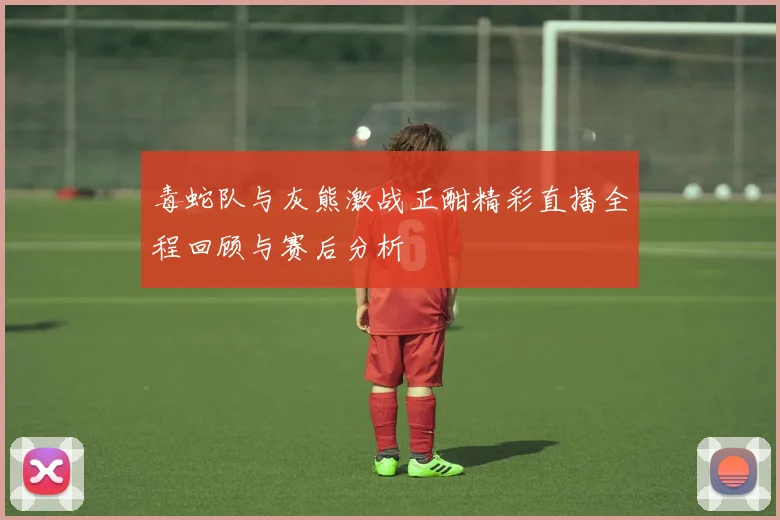 毒蛇队与灰熊激战正酣精彩直播全程回顾与赛后分析